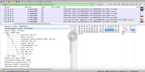 Обучение WireShark бесплатно