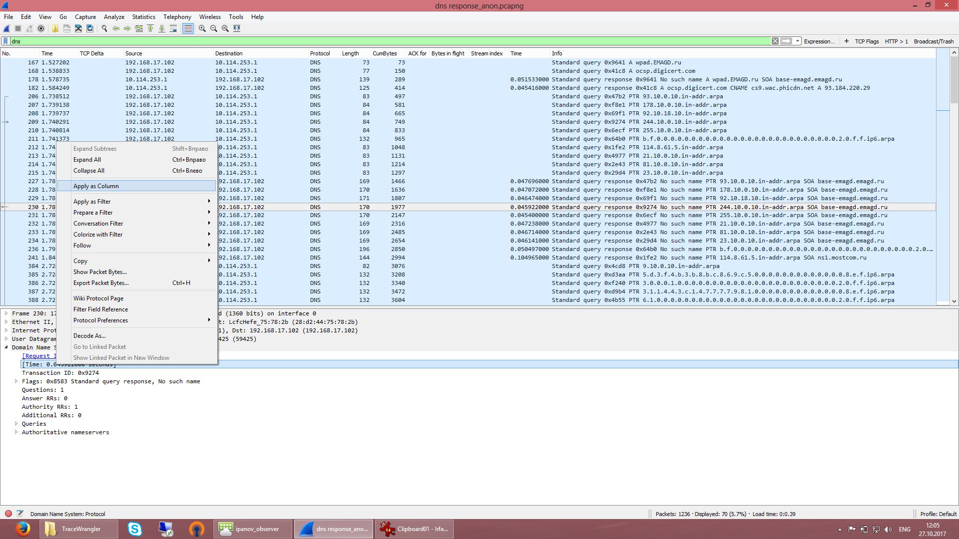 На экране мы получим отфильтрованные пакеты по протоколу DNS