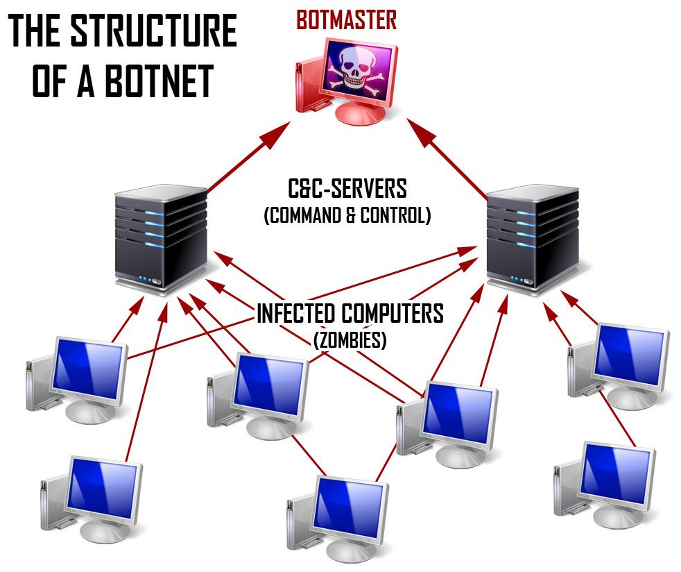 Ботнет сети