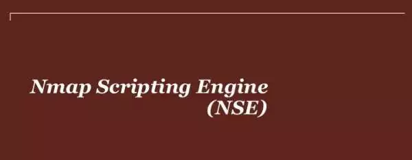 Руководство по работе со скриптами Nmap Scripting Engine