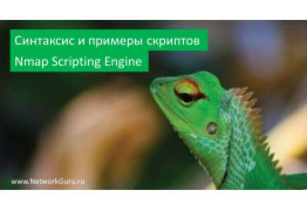 Синтаксис и примеры скриптов Nmap Scripting Engine