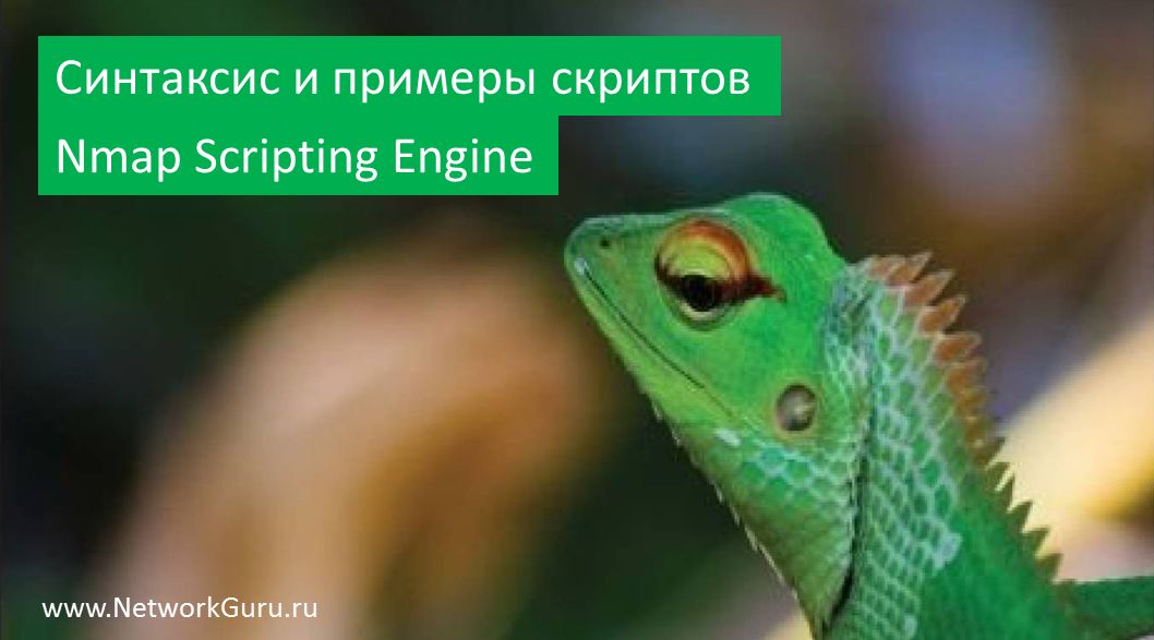 Синтаксис и примеры скриптов Nmap Scripting Engine