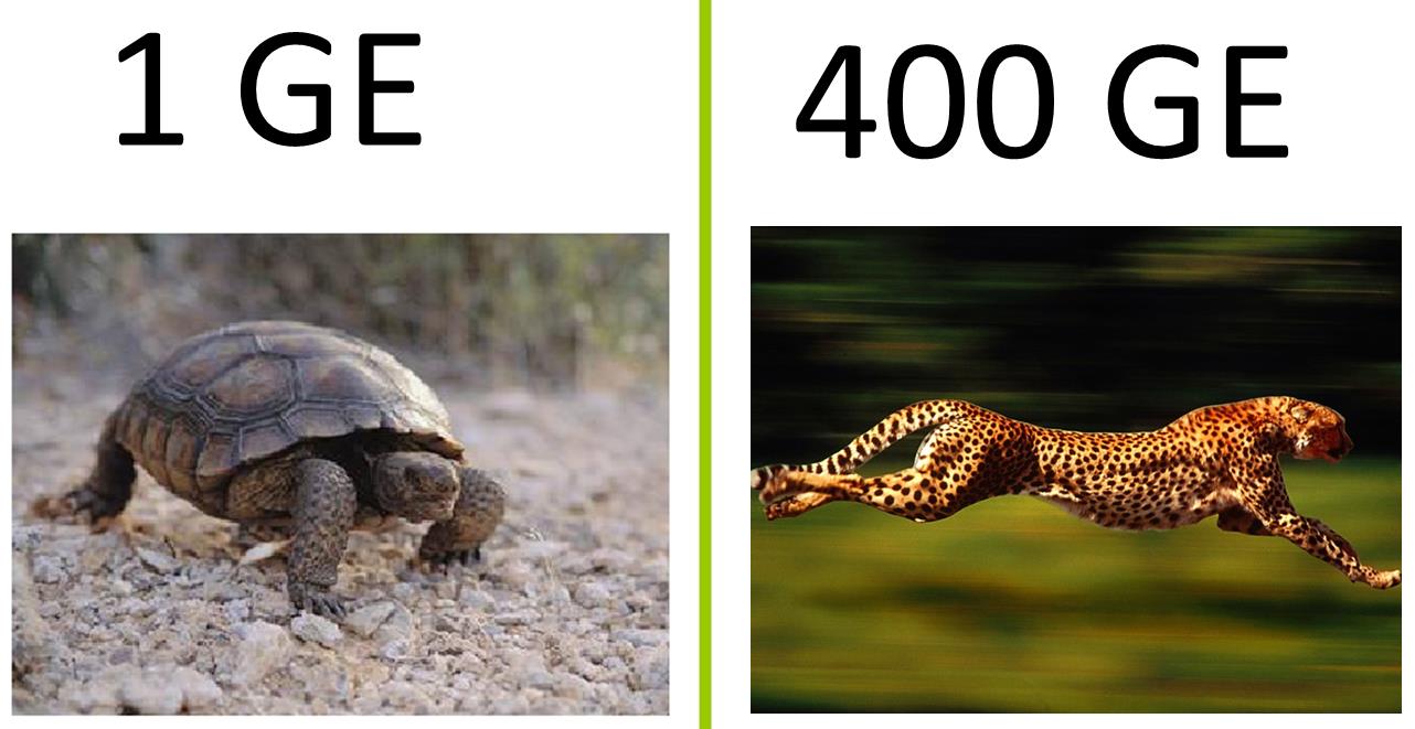 Насколько быстр 400GE