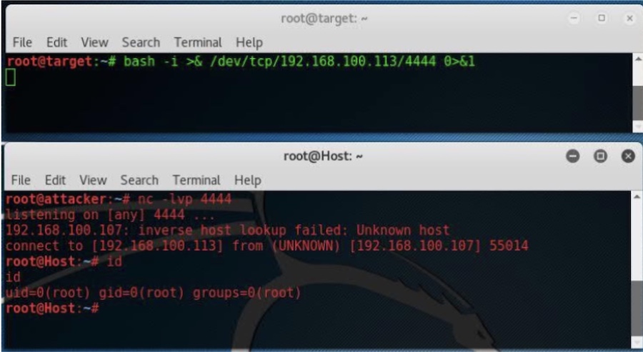 Пример обратного подключения Bash