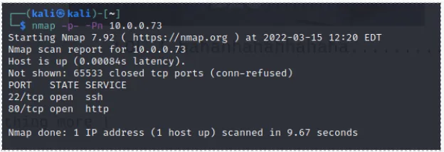 как провести пентест